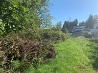 View 6