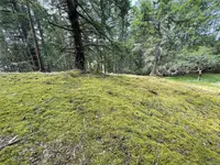 View 27