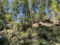 View 13