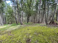 View 26