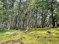 View 22