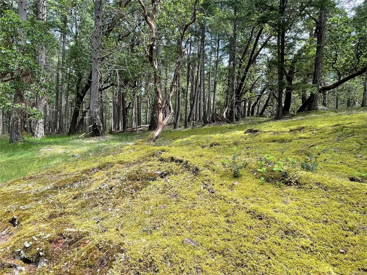 Lot 2 Driftwood Dr, Mudge Island BC V0R 1X0