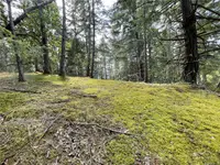 View 28