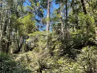 View 15