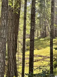 View 19