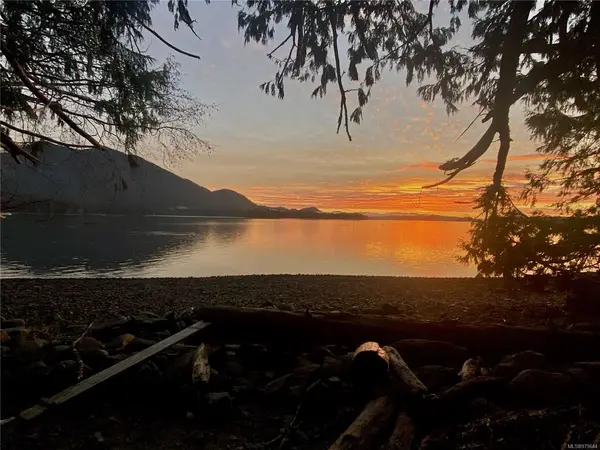 780 Campbell St, Tofino BC V0R 2Z0 - 4 bed, 4 bath in Tofino