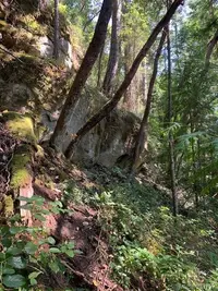 View 43