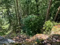 View 53