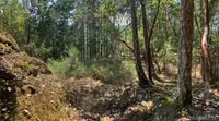 View 59