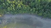 View 15