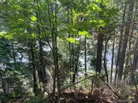 View 19