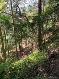 View 44