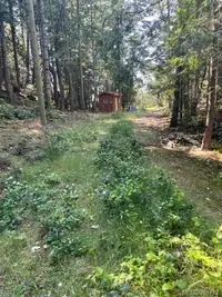 View 31