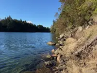 View 60