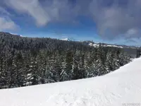 View 4