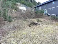 View 8