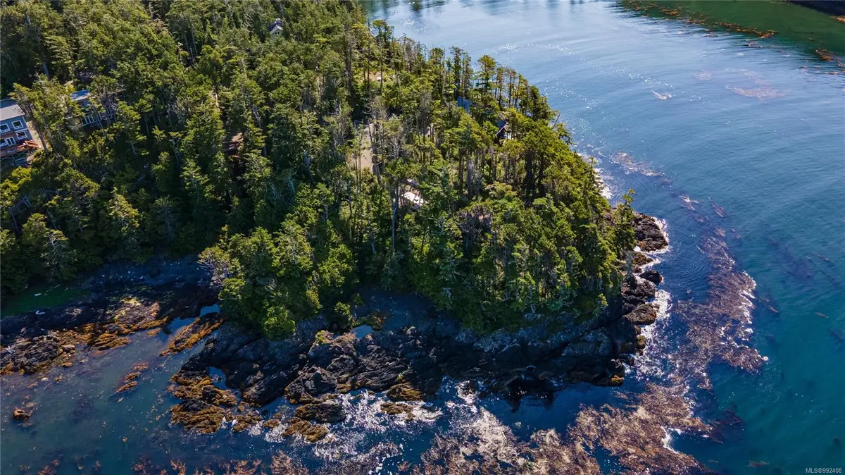 392 Reef Point Rd, Ucluelet BC V0R 3A0