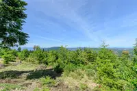 View 47