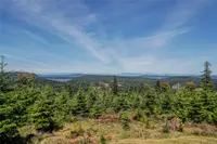 View 55
