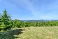 View 50