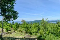 View 48
