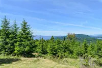 View 44