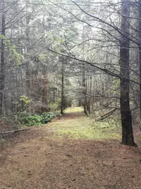 View 13