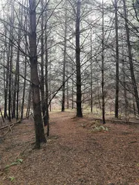 View 17
