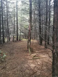 View 16