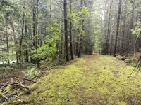 View 12