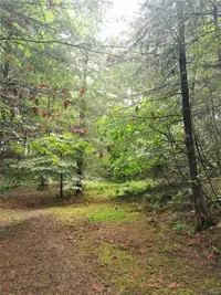 View 7
