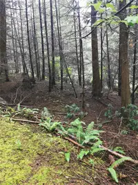View 10