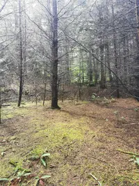 View 14
