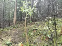 View 18