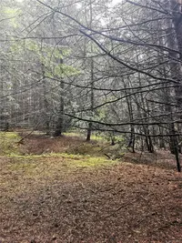 View 15