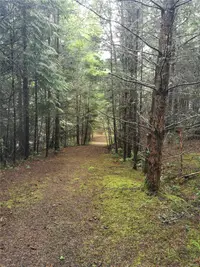 View 8