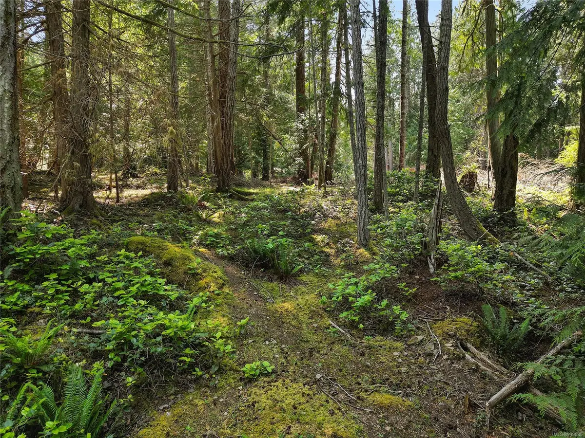 568 Aya Reach Rd, Mayne Island BC V0N 2J1