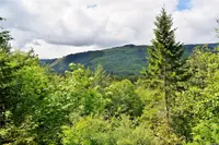 View 40