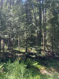 View 23