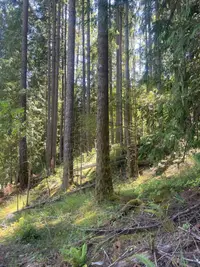 View 13