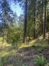 View 12