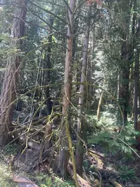 View 7