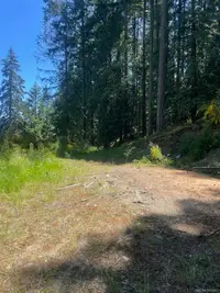 View 10