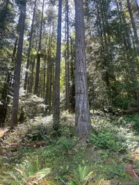 View 14