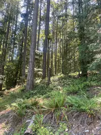 View 11