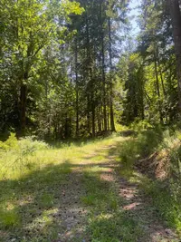View 19