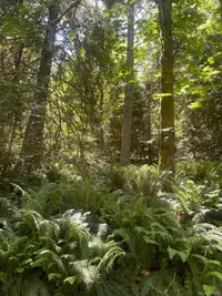 View 21