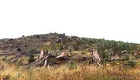 View 13