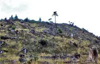 View 17