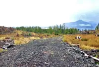 View 10